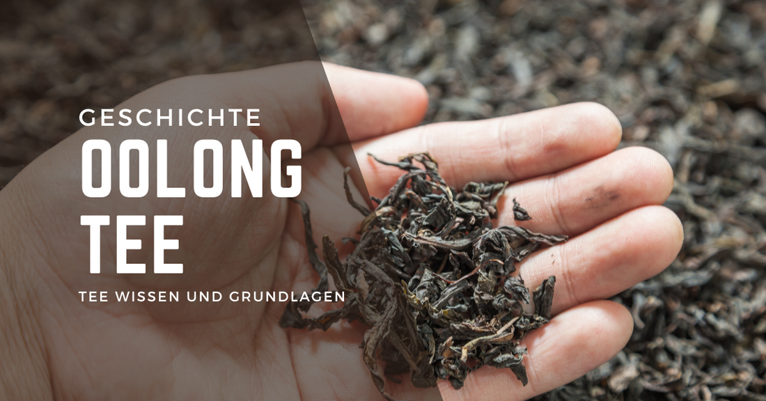 Oolong-Tee: Der vergessene Schatz zwischen grün und schwarz