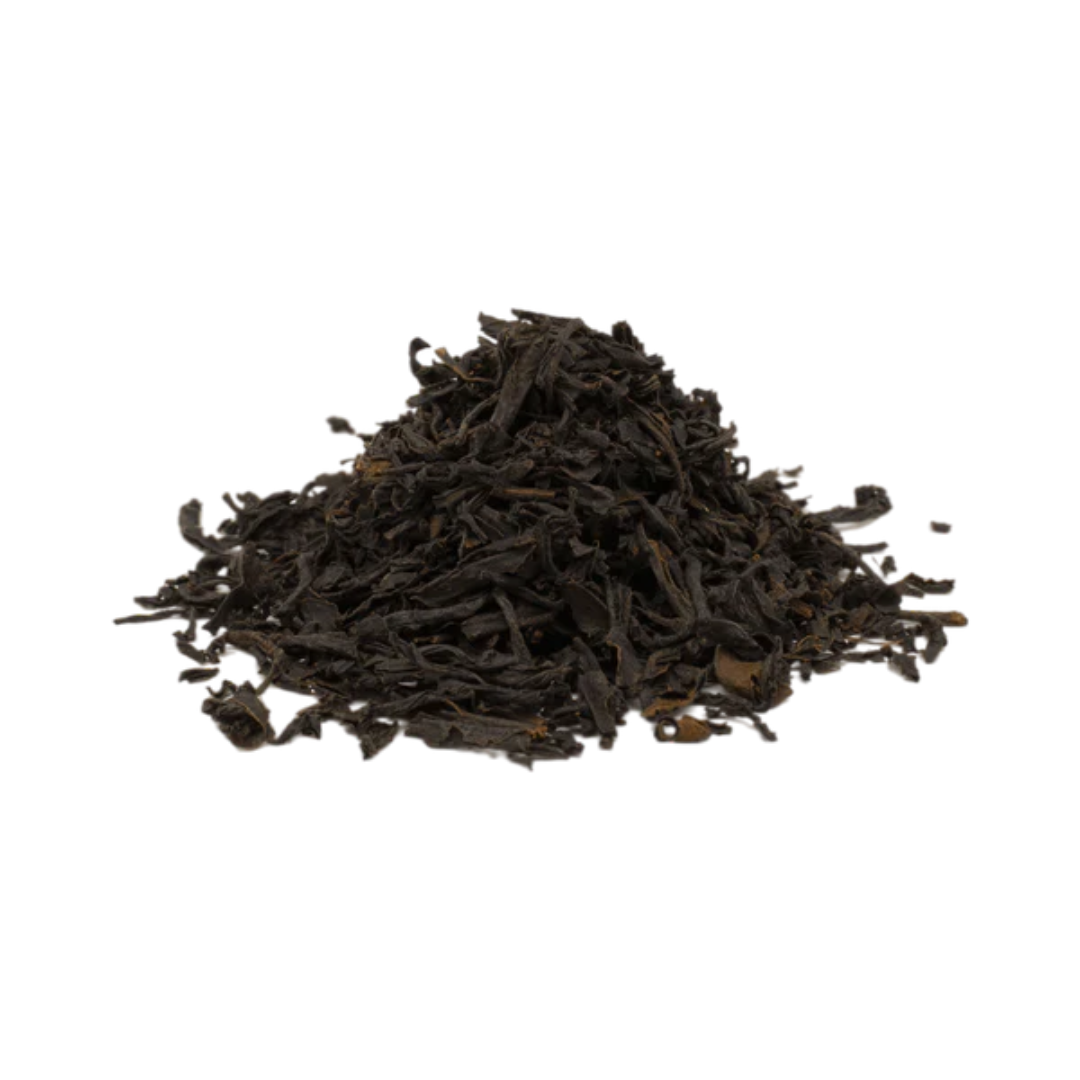 BIO Mozambique OP