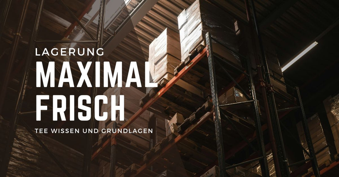 Wie wird Tee richtig gelagert? Tipps für maximale Frische