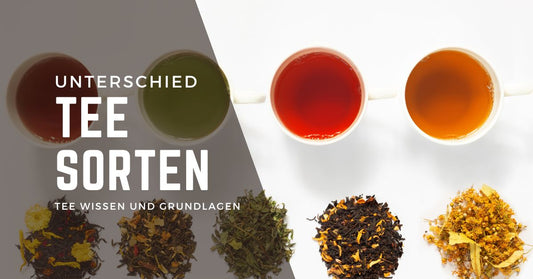 Was ist der Unterschied zwischen Schwarztee, Grüntee und Kräutertee?